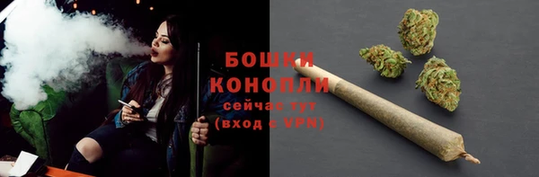 ГАЛЛЮЦИНОГЕННЫЕ ГРИБЫ Волоколамск