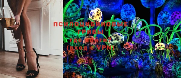 ГАЛЛЮЦИНОГЕННЫЕ ГРИБЫ Волоколамск