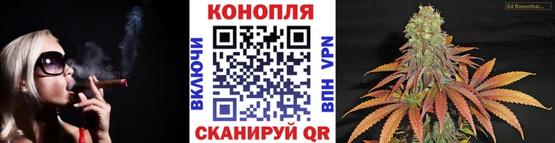 Марихуана индика  Тбилисская 